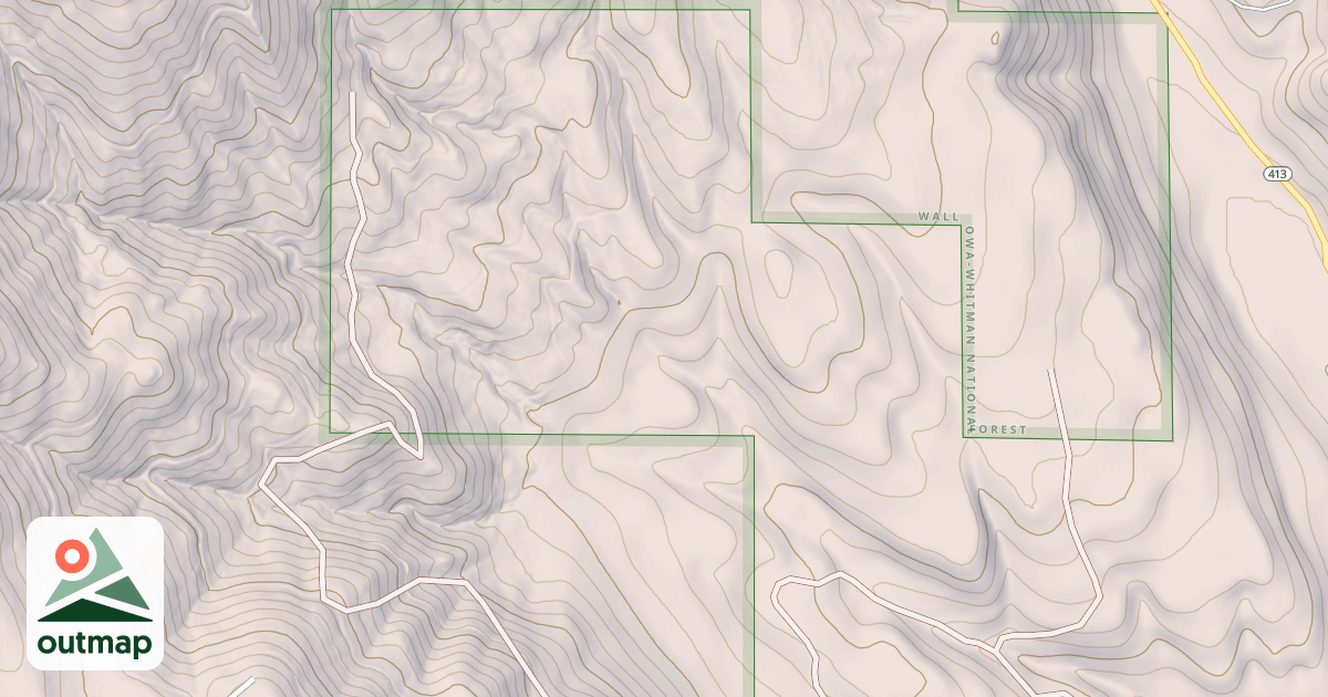 Map of USFS National Forest System Roads {3BFEF34B-DF7C-4153-AAE9-5B03FA318181}