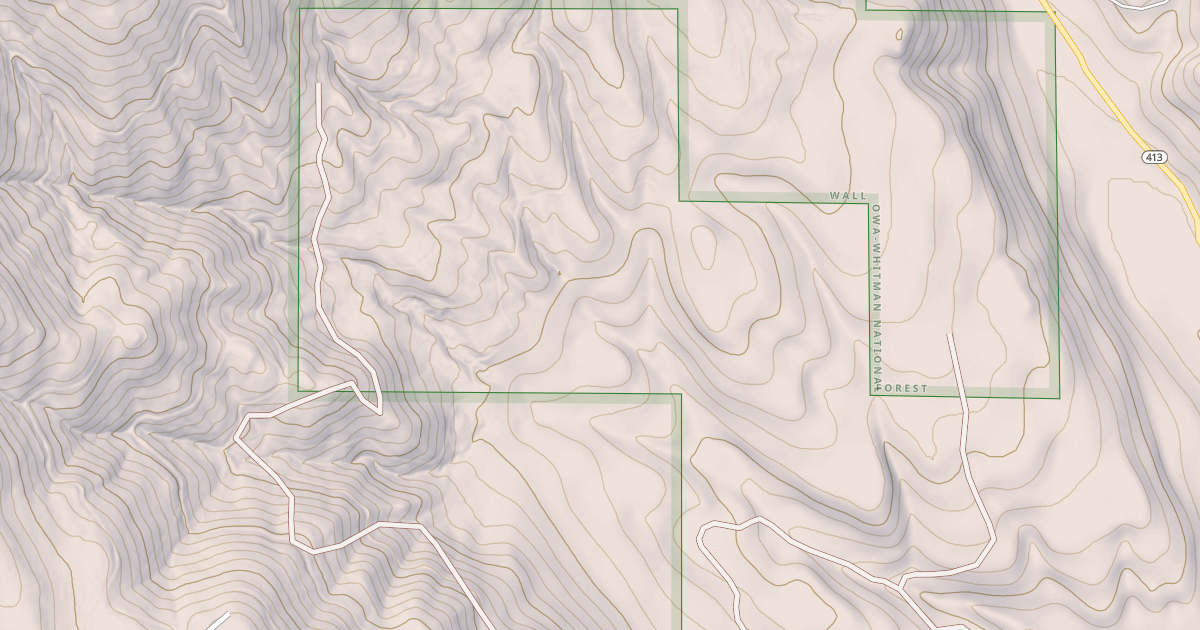 Map preview of USFS National Forest System Roads {3BFEF34B-DF7C-4153-AAE9-5B03FA318181}