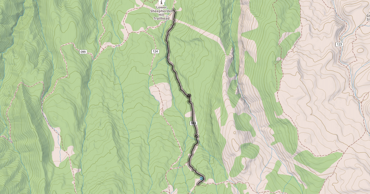 Map preview of Lizard Lake Trail