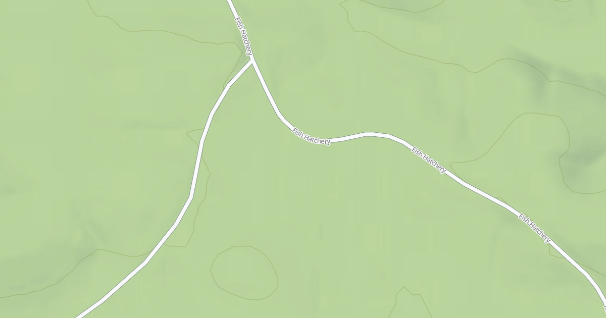 Map preview of USFS Motor Vehicle Use Map Roads {E156063A-0D59-4713-AA3A-543D4F0B269E}