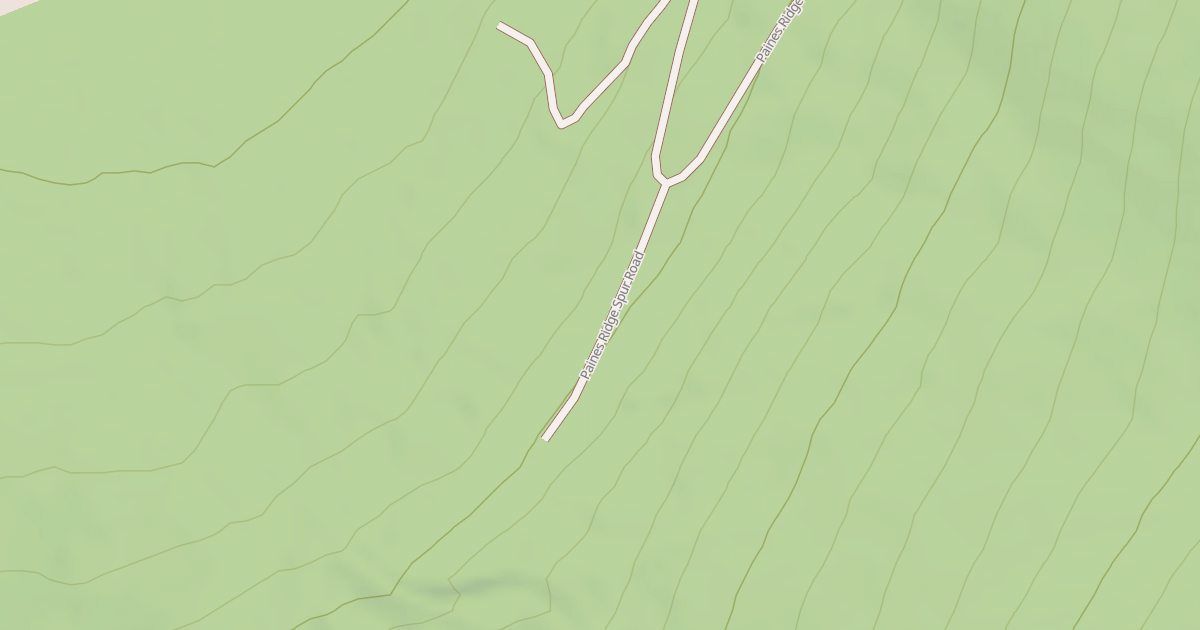 Map preview of PAINES RIDGE SPUR