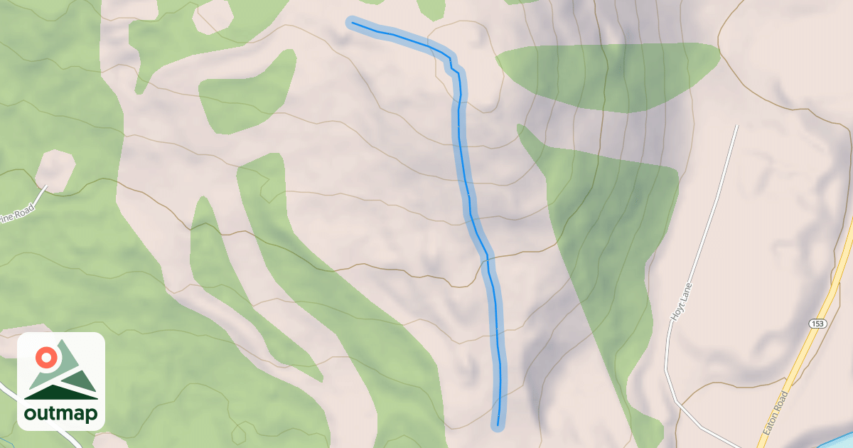 Map of King Pine