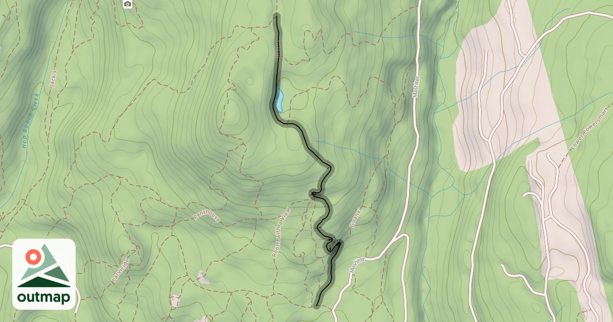 Map of Entrails