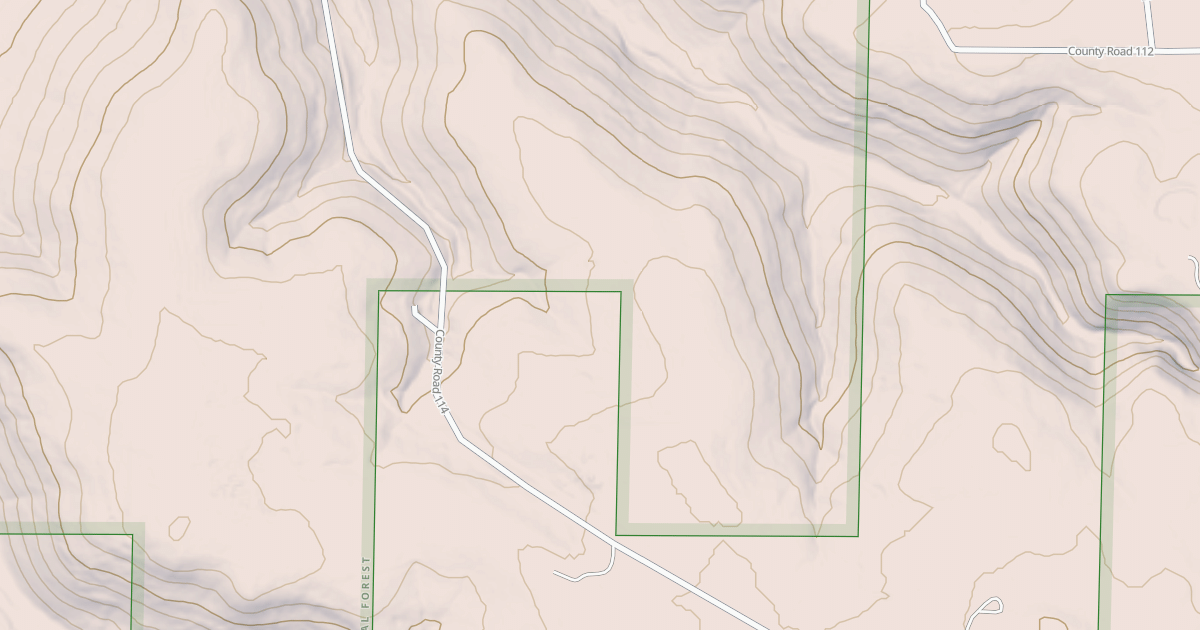 Map preview of USFS Motor Vehicle Use Map Roads {F692065B-E678-43C8-AC0E-B1169F1BFA8F}