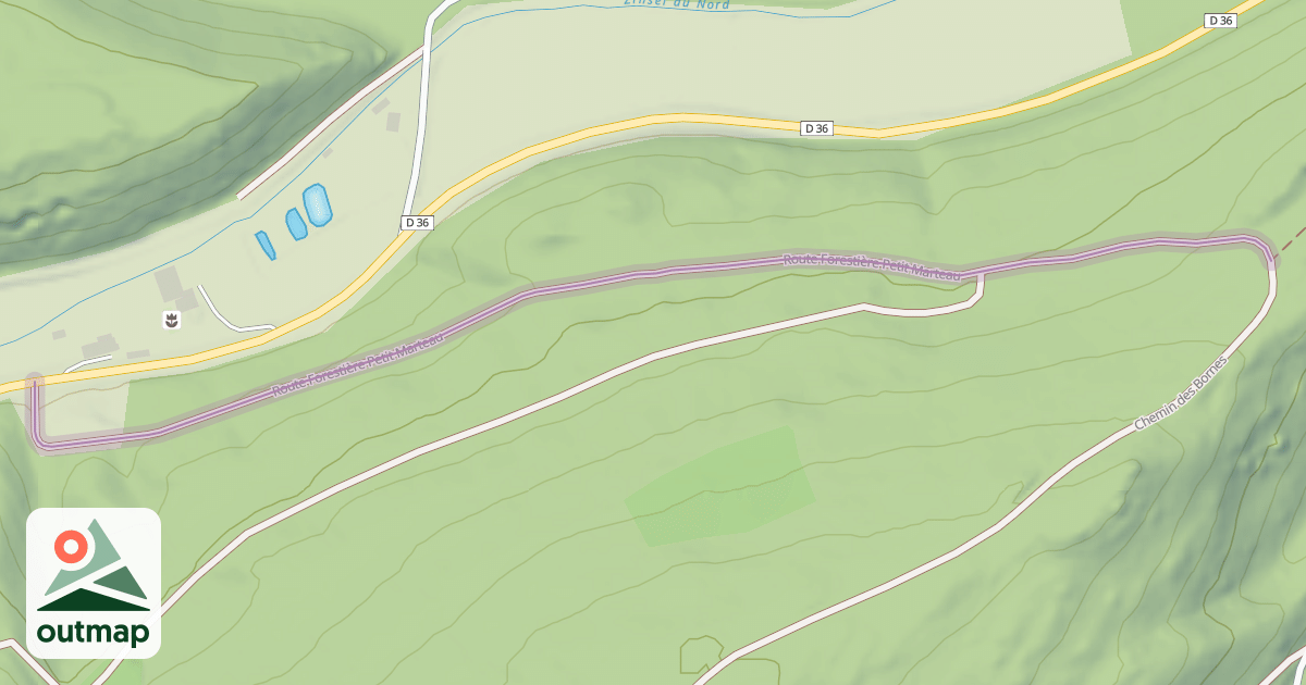 Map of Route Forestière Petit Marteau