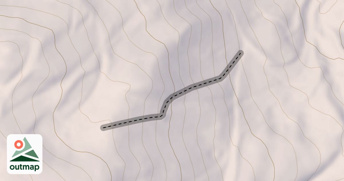 Map of Top Dog