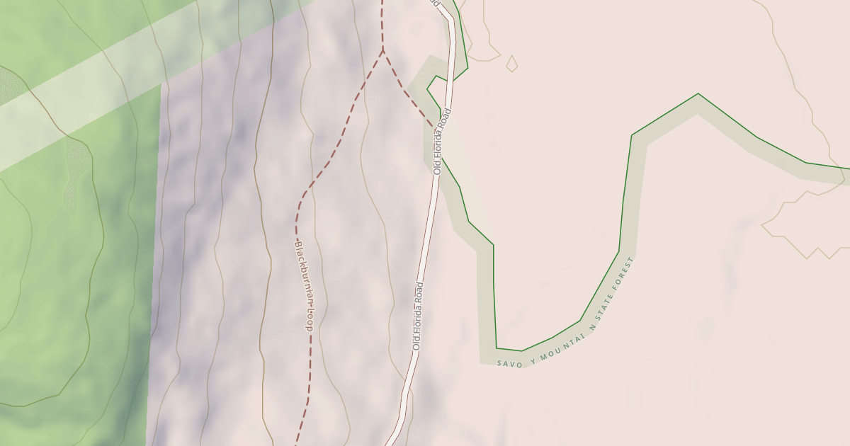 Map preview of Old Florida Road