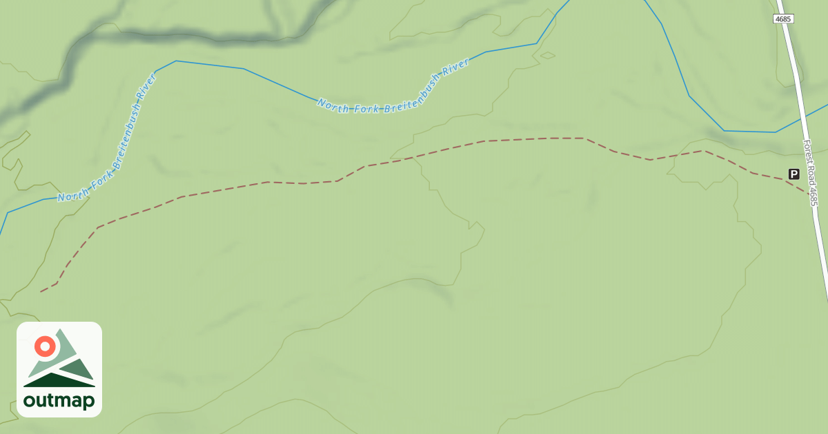 Map of USFS National Forest System Roads {16C38E99-8916-4134-AC25-F52C1370CAB8}