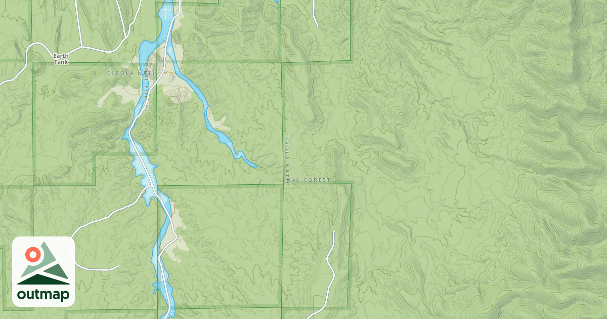 Map of USFS National Forest System Roads {4D11B02D-A945-4BED-8CC4-023334325822}