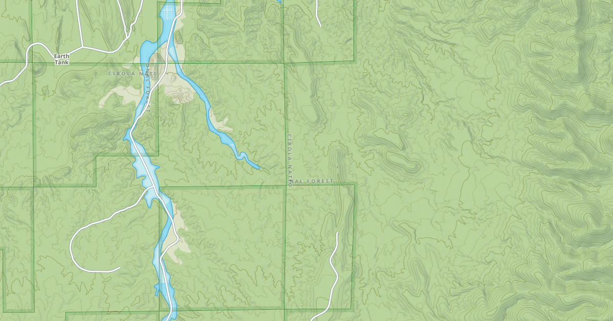 Map preview of USFS National Forest System Roads {4D11B02D-A945-4BED-8CC4-023334325822}