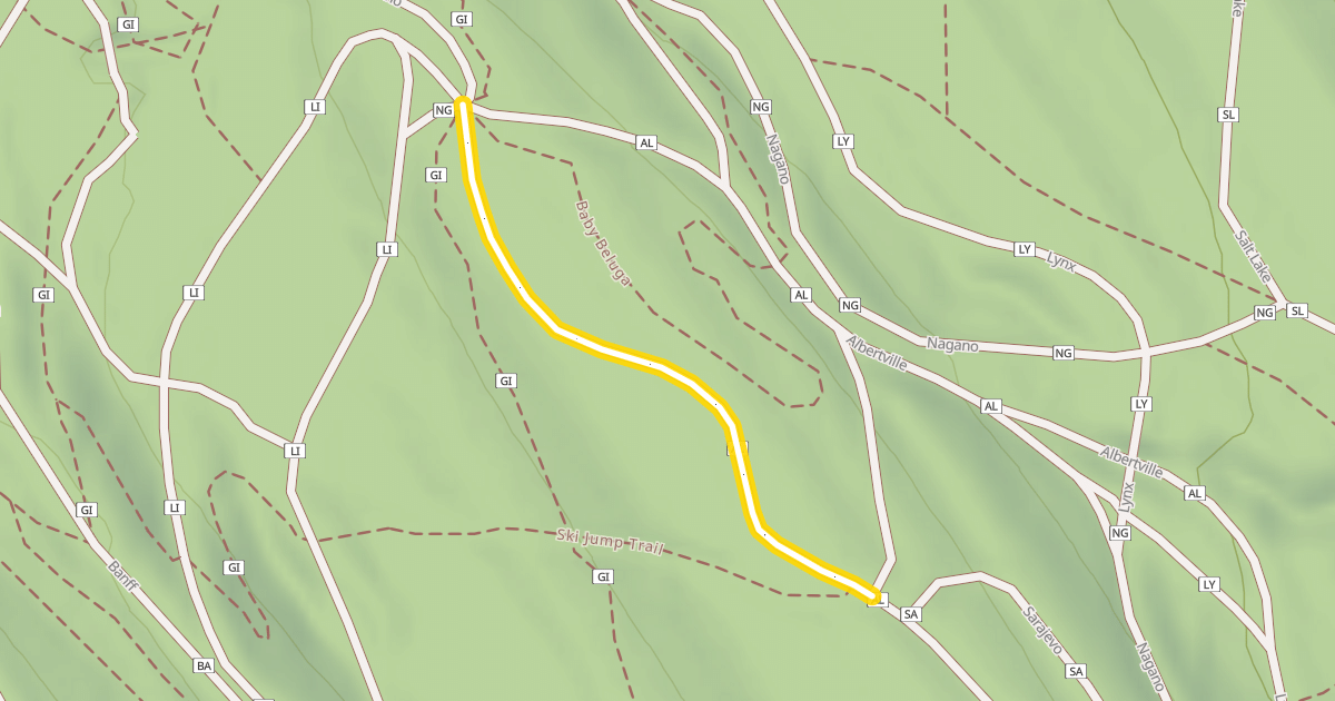 Map preview of Albertville