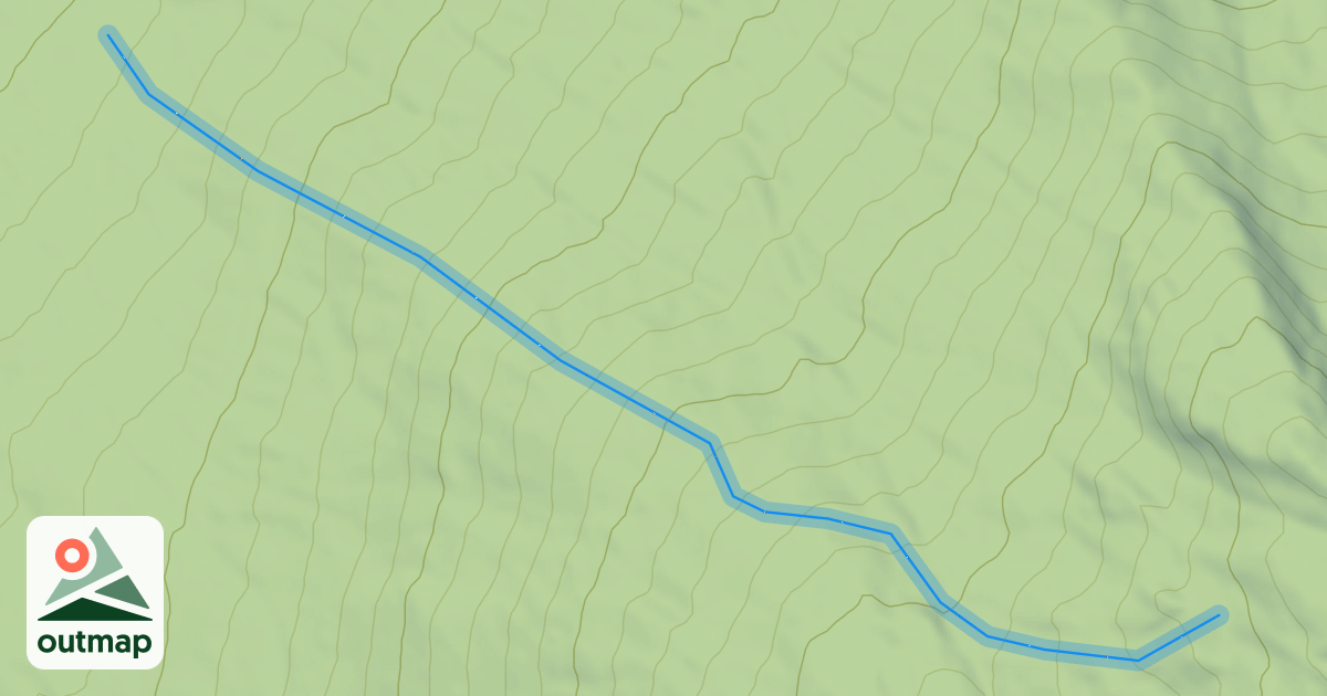 Map of 21 - La Lynx