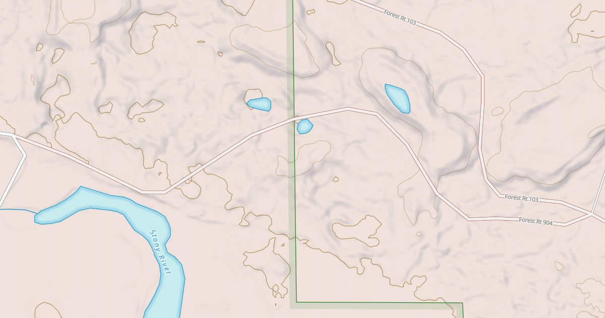 Map preview of MCDOUGAL LAKE SPUR