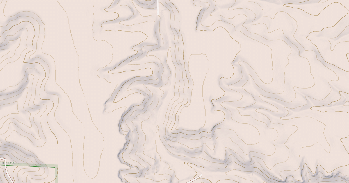 Map preview of USFS National Forest System Roads {0984BCE0-B662-4E86-A491-B12DE03E2708}