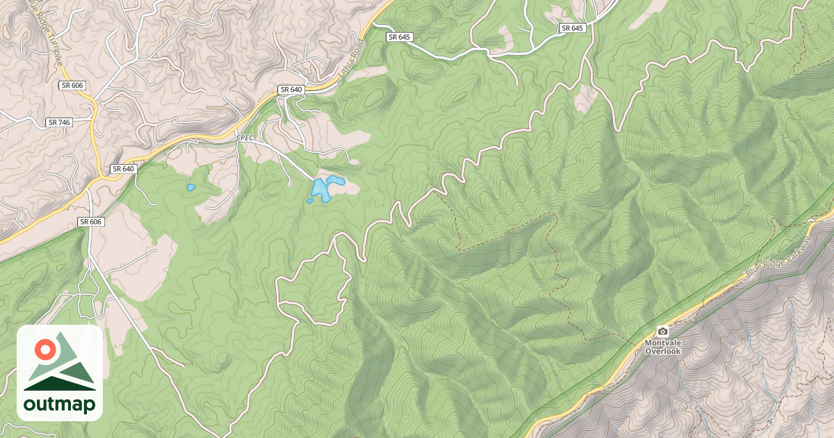 Map of PULASKI TRACT