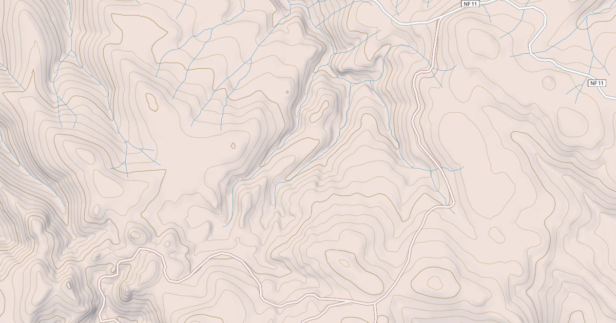Map preview of USFS National Forest System Roads {454ED896-E8FE-4A21-B025-F673D7C7638E}