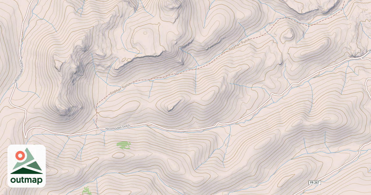 Map of NICOMODES