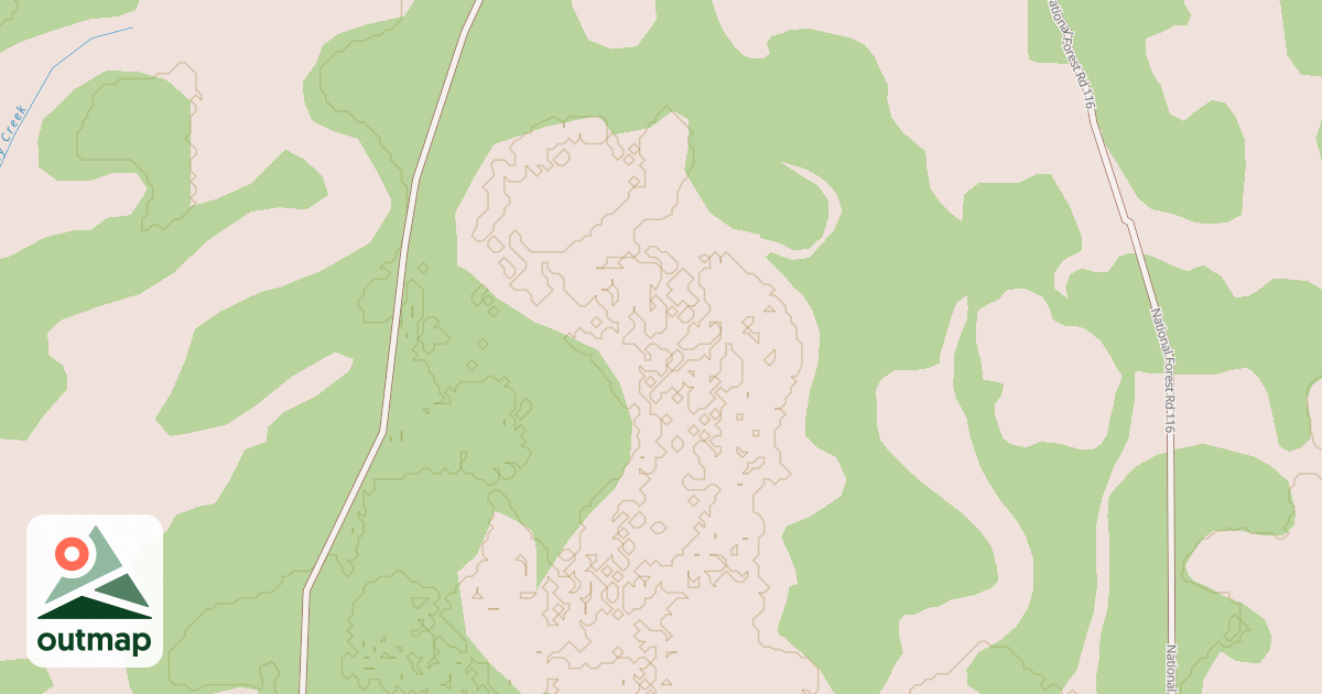 Map of USFS National Forest System Roads {68F2AC64-3C21-4D56-8E65-5CEC41A1FCDC}