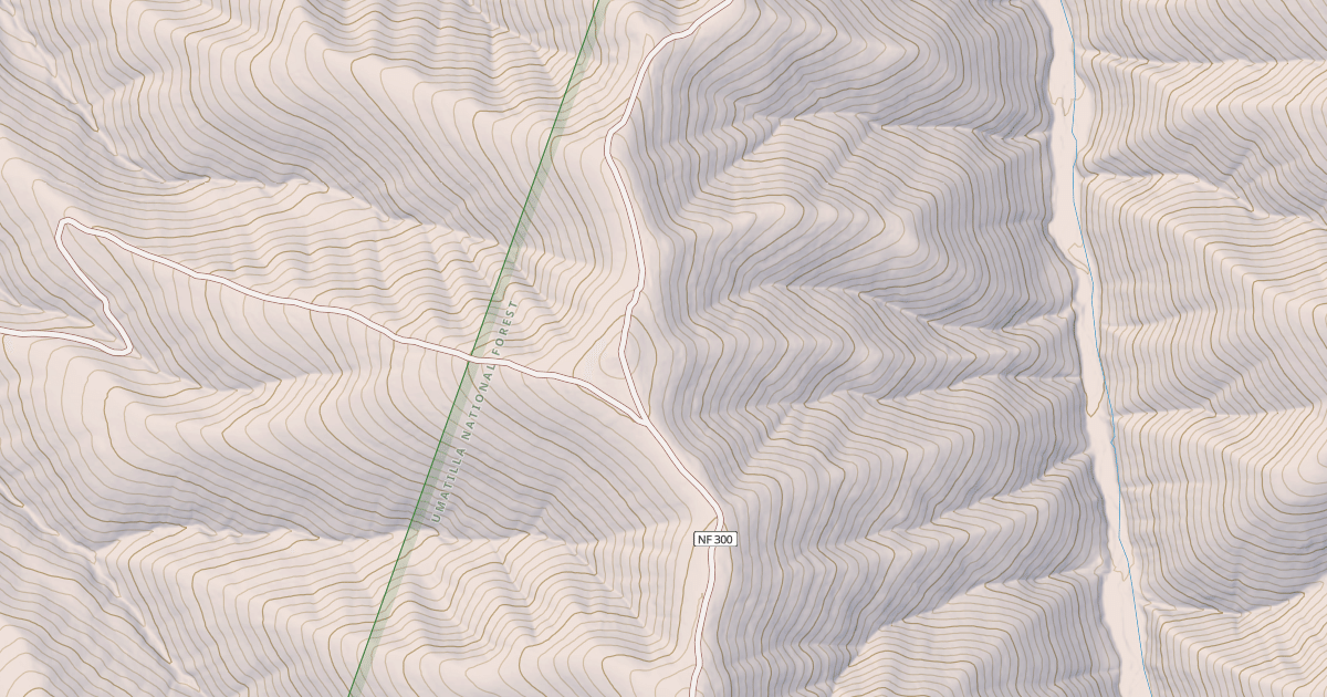 Map preview of USFS Motor Vehicle Use Map Roads {032117FC-215A-4192-9847-18F535CFAAC5}