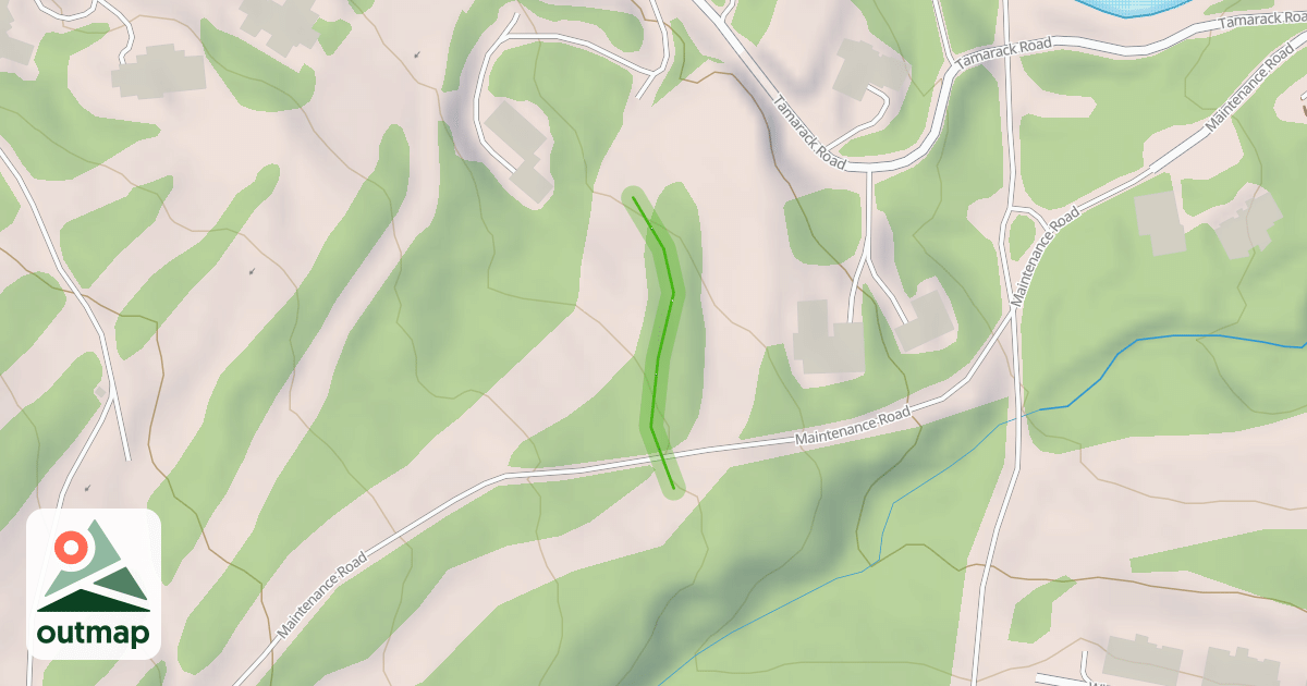 Map of Daniel's Web