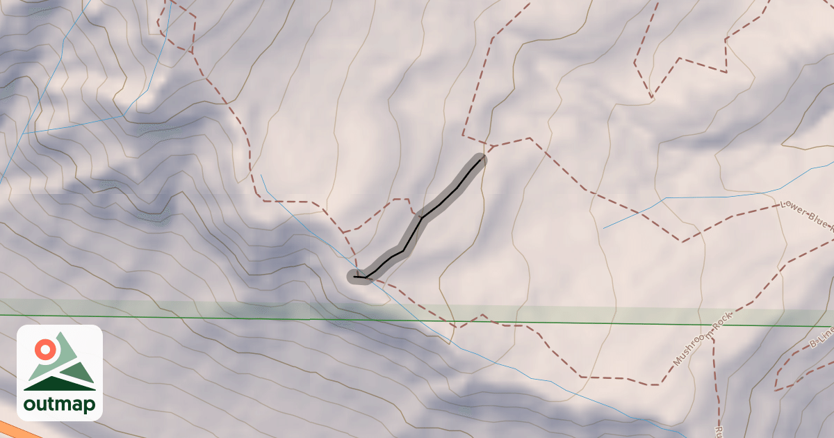 Map of Mushroom Connector
