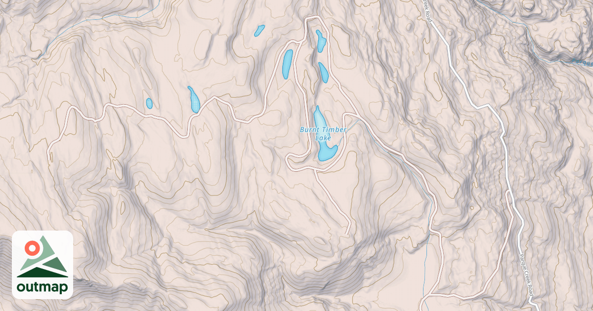 Map of BURNT TIMBER LAKE