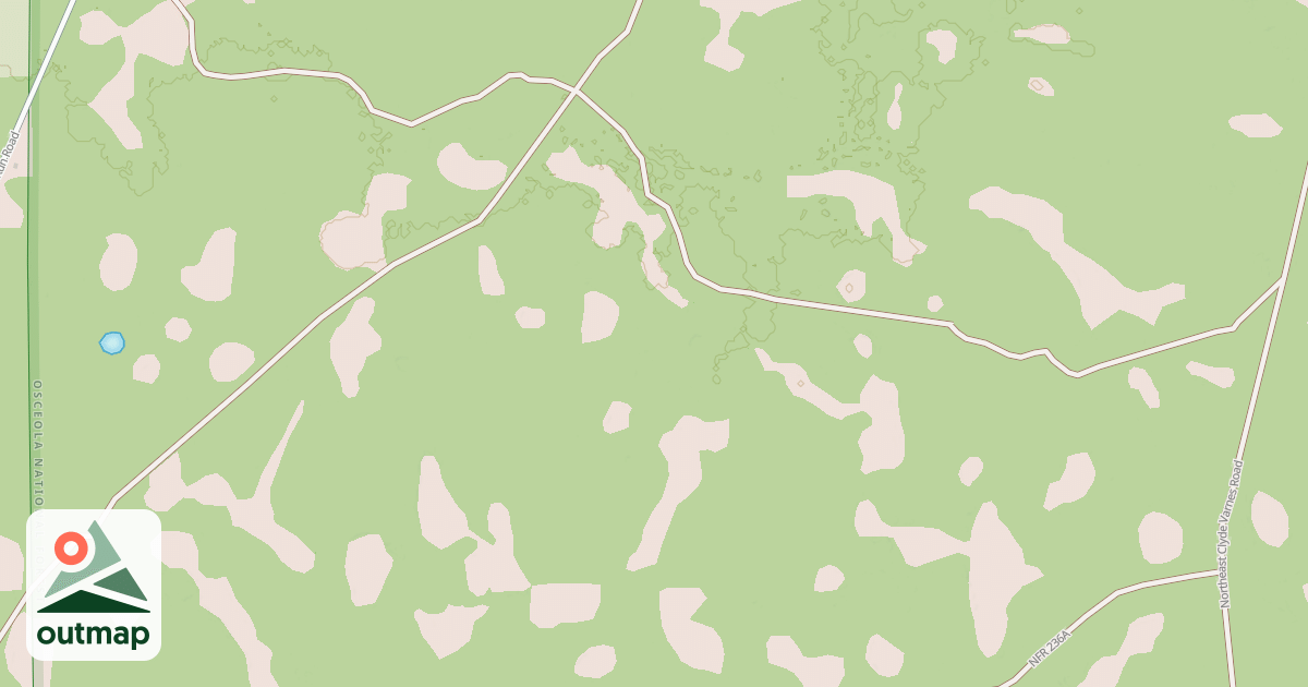 Map of USFS National Forest System Roads {267E6547-C4E4-4DF2-BE6F-6CD62D4F0CEF}