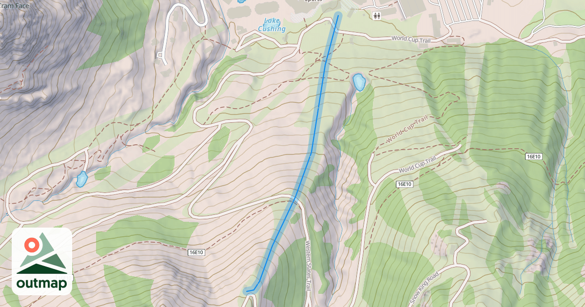 Map of Julia's Gold