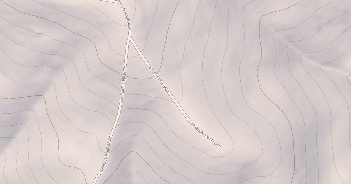 Map preview of SKIDMORE EAST