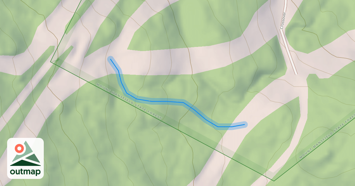 Map of Duck Walk