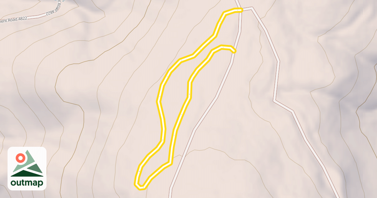 Map of Mt. Amabilis FS Rd 4822