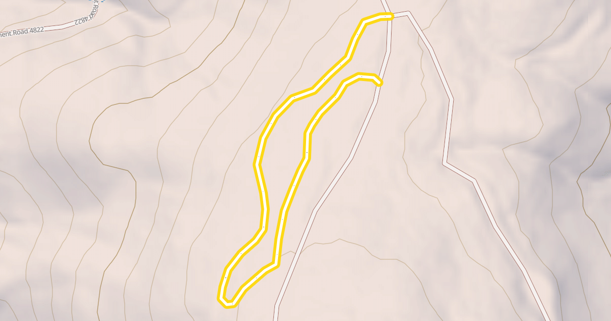 Map preview of Mt. Amabilis FS Rd 4822