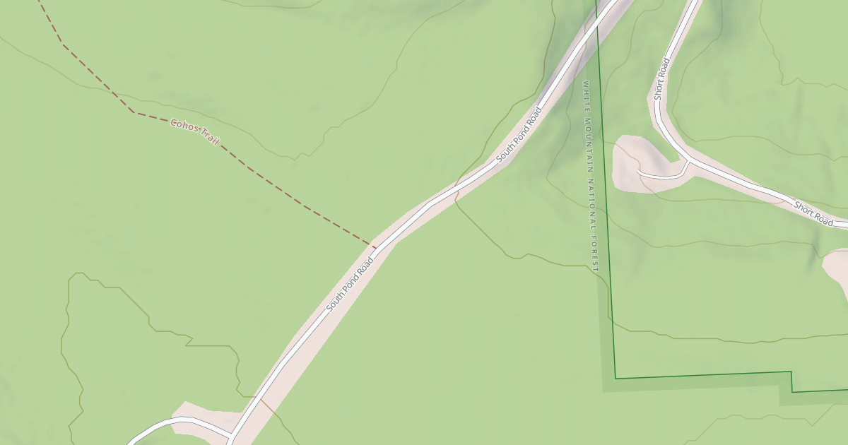 Map preview of EAST SIDE - SOUTH POND