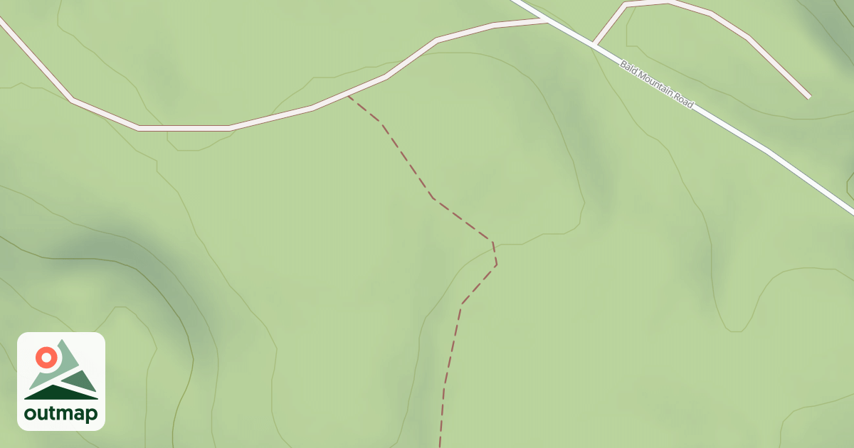 Map of Mutant Ferns