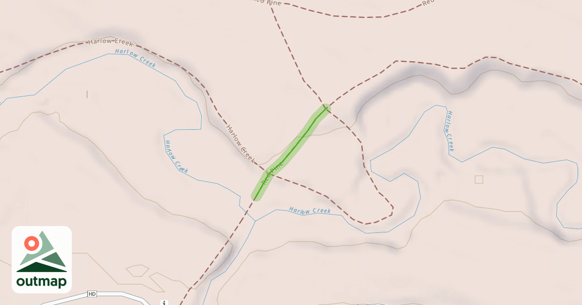 Map of Red Pine