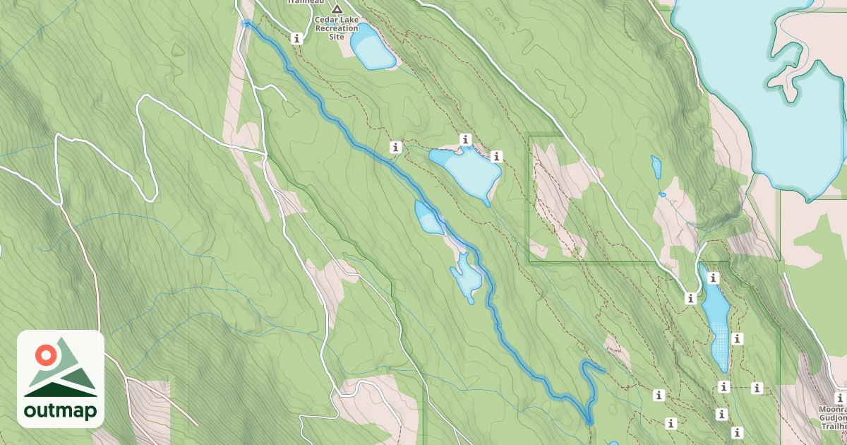 Map of Cedar Snag