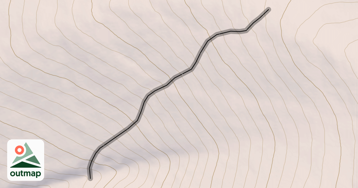 Map of Glacier Bear