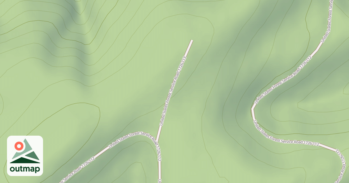 Map of USFS National Forest System Roads {8F345B07-5A3C-465F-8DEC-6E3CF7F03FAA}