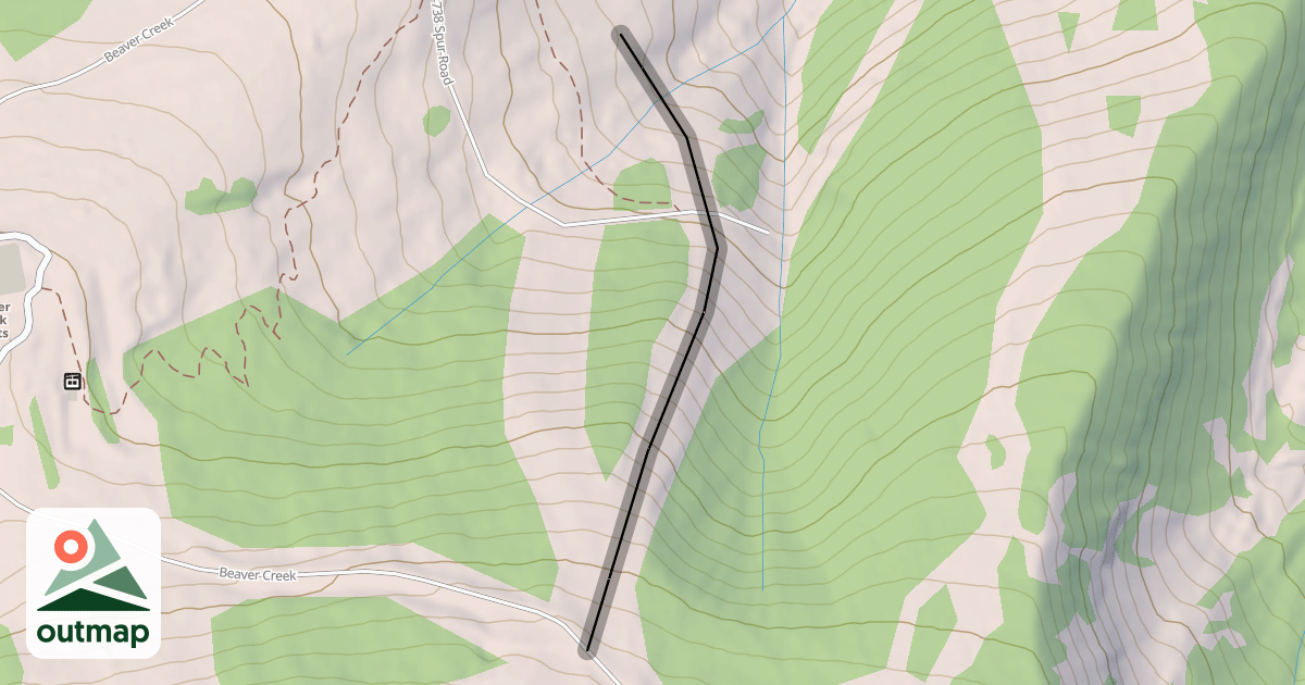 Map of Spider