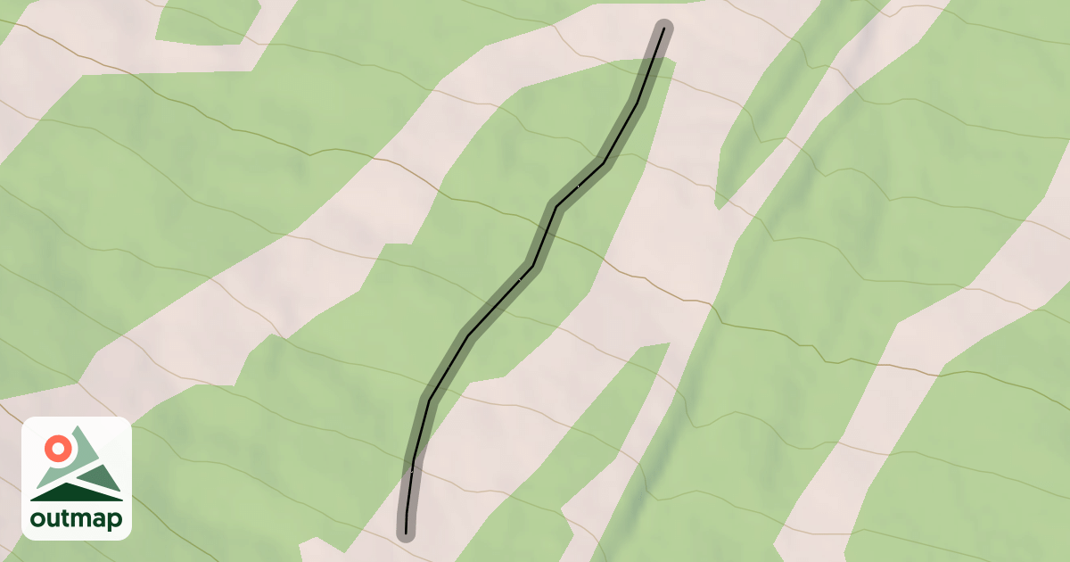 Map of Lizzie Borne Glades
