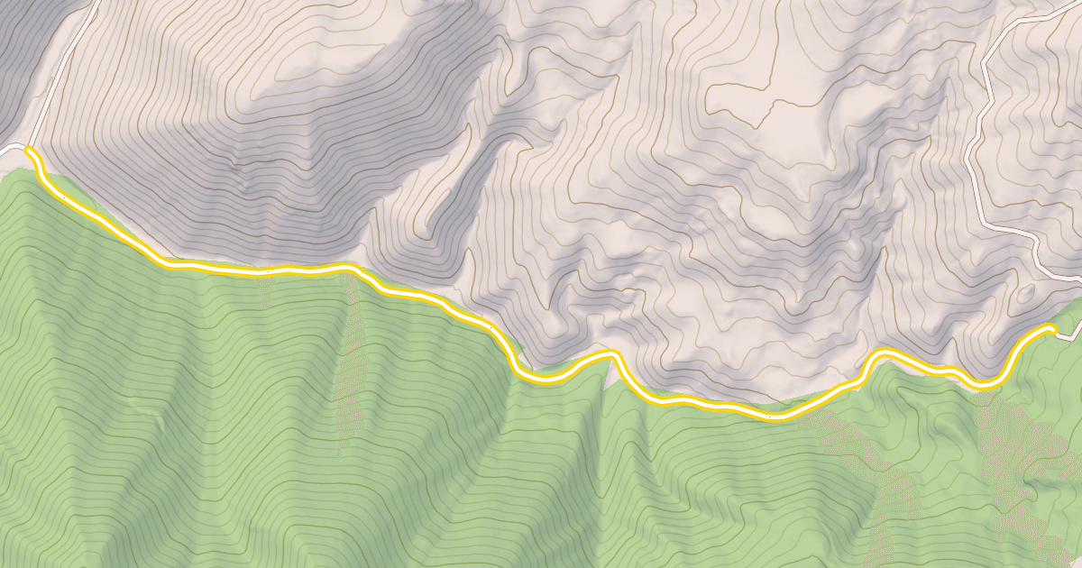 Map preview of National Forest Development Road 115