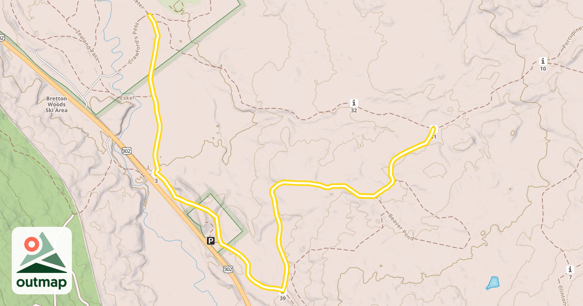 Map of Dark Forest