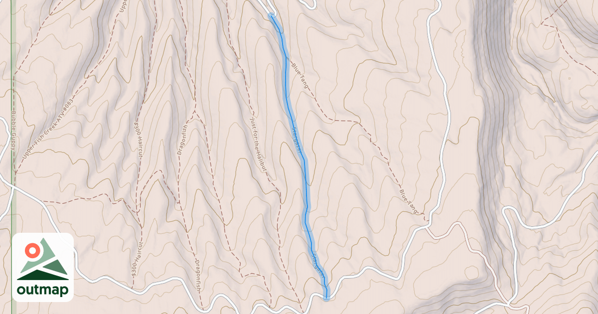 Map of Stargazer