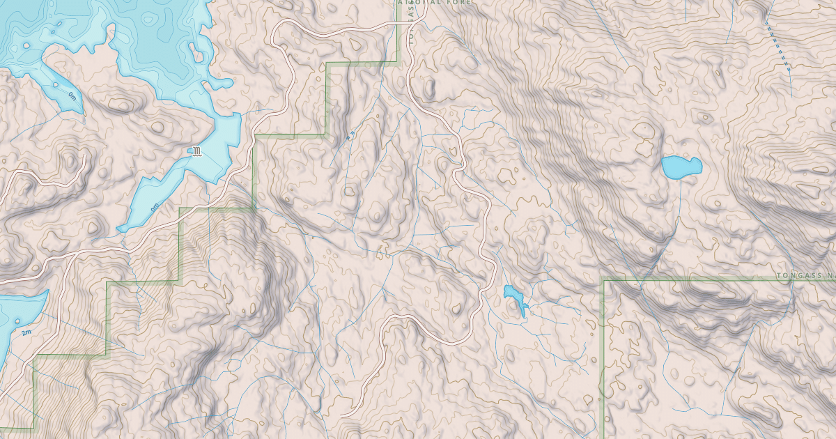 Map preview of USFS Motor Vehicle Use Map Roads {681A0895-57E5-4E5B-89DF-A237FBD42C39}