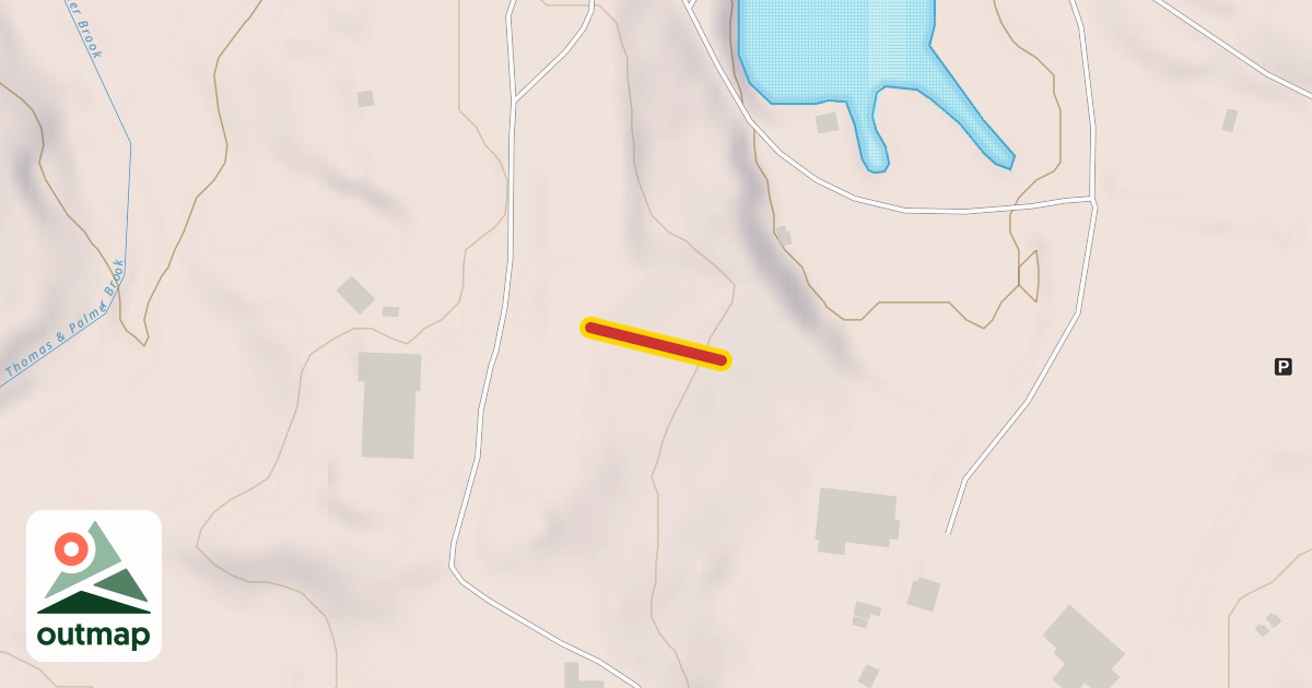 Map of Carpet #3