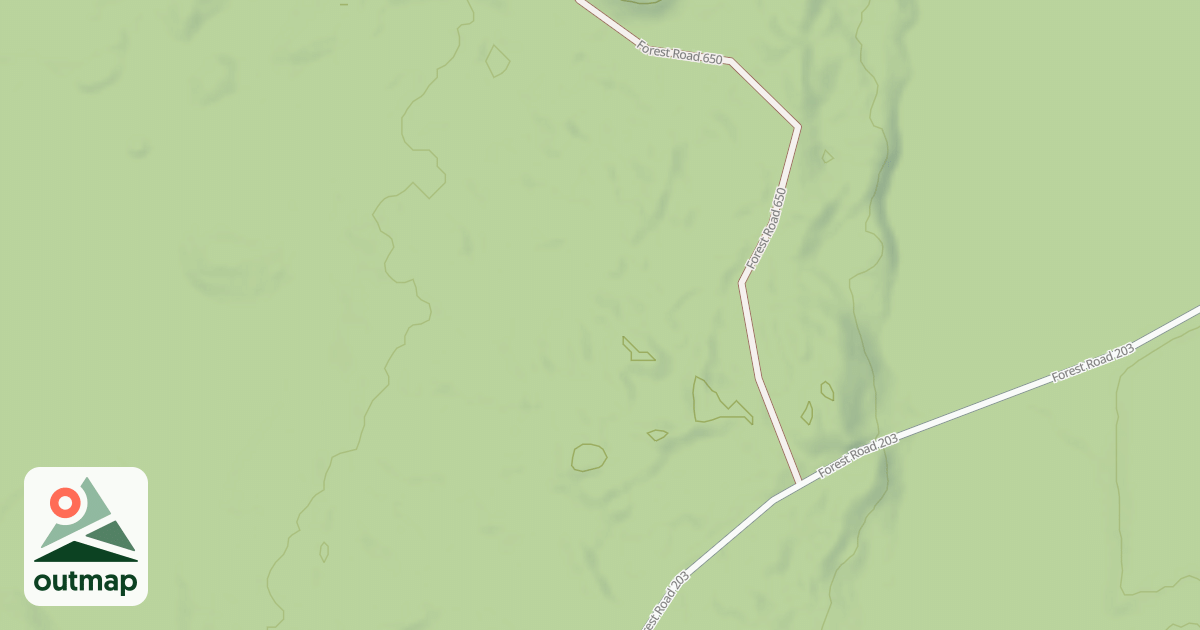 Map of FR 203J