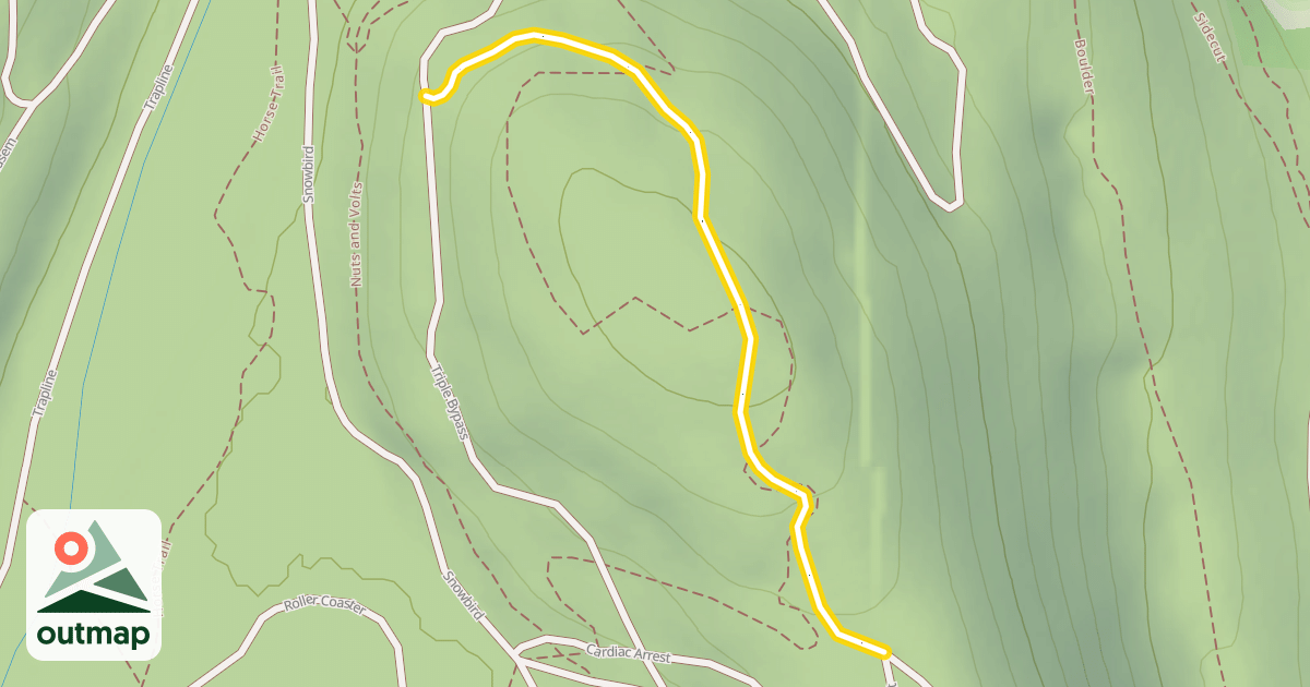Map of Cardiac Arrest