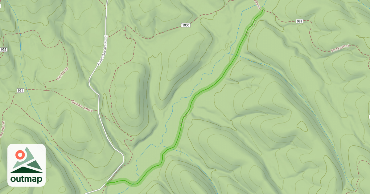 Map of May Apple