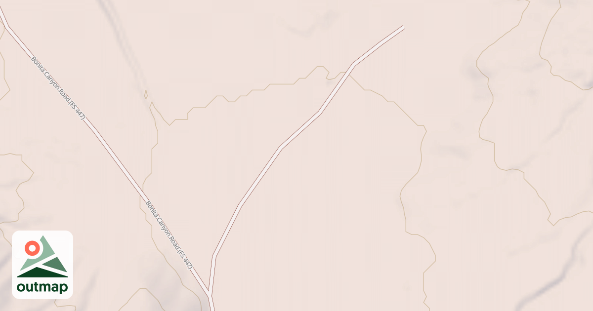Map of USFS National Forest System Roads {35464ED6-1499-40AC-BD3D-247B3480103D}