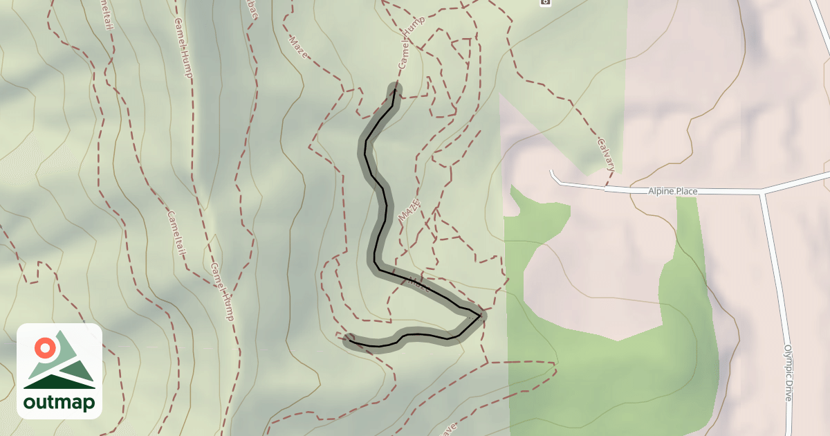 Map of MAZE